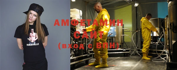 амф Вяземский