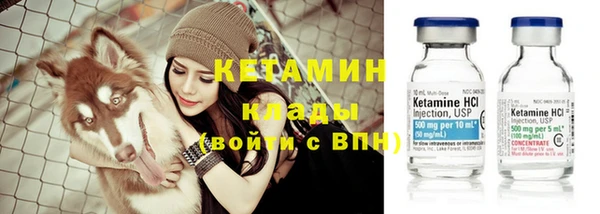 амф Вяземский