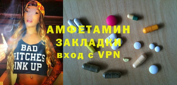 амф Вяземский