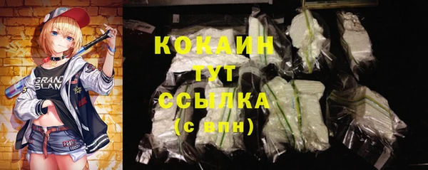 амф Вяземский